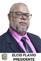 ELCIO FLAVIO MARTINS DE SÁ