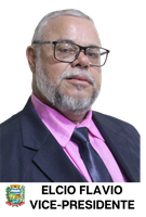 ELCIO FLAVIO MARTINS DE SÁ