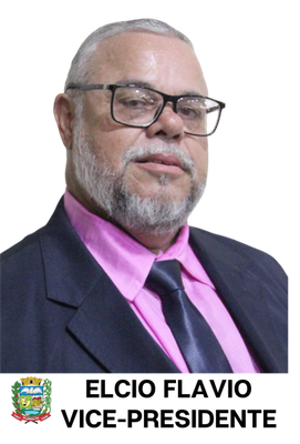 ELCIO FLAVIO MARTINS DE SÁ