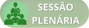SESSÃO PLENÁRIA